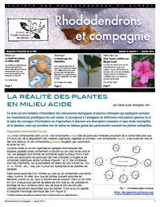 Rhododendrons et compagnie Bulletin Vol 6 no 1 Janvier 2014