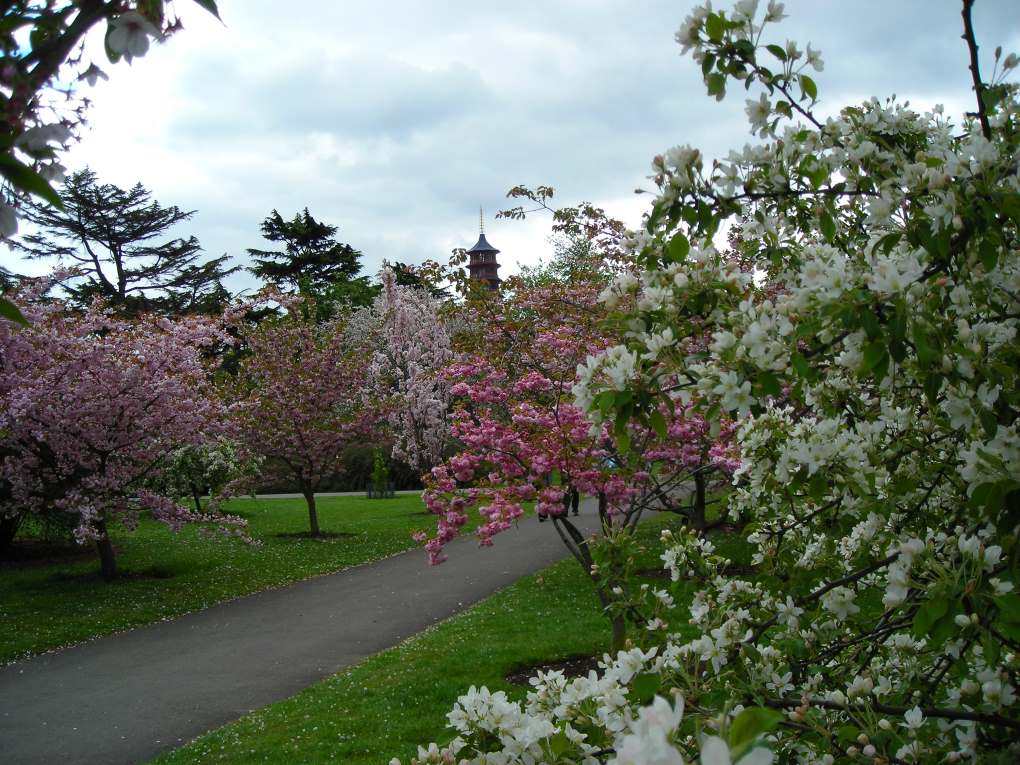 Jardin de Kew