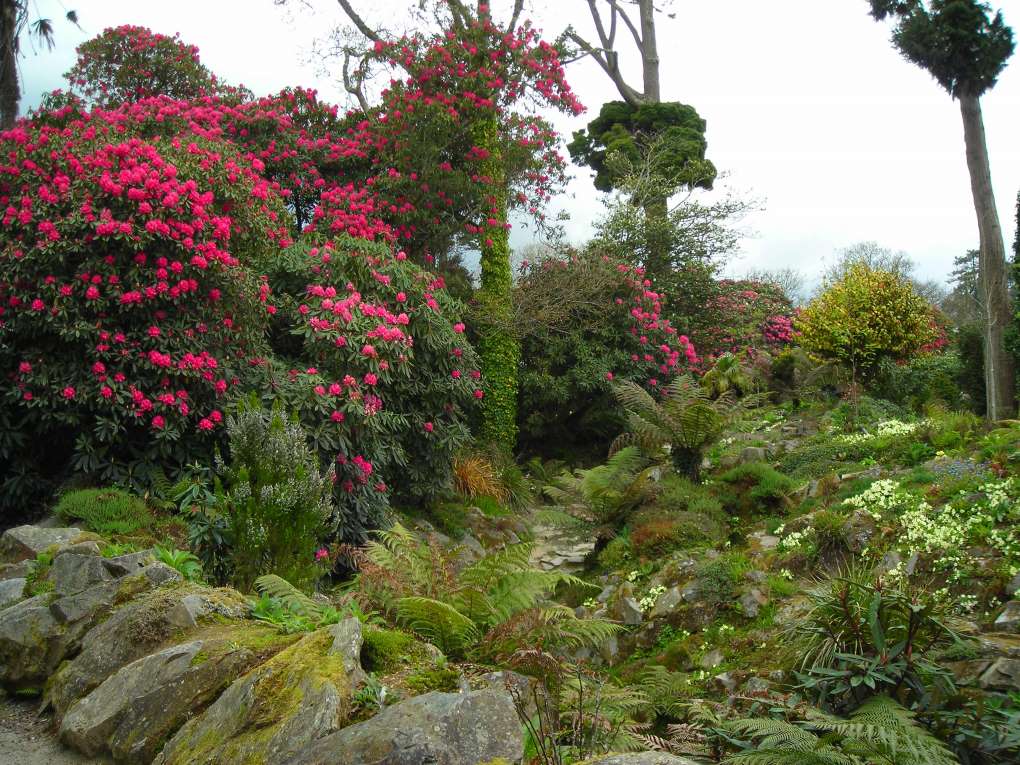 Jardins perdus de Heligan