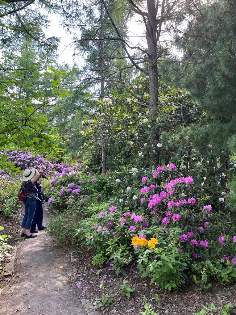 Le Jardin Roger-Van den Hende